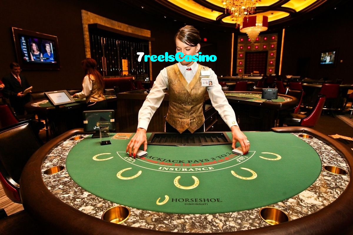 available types of 7reelsCasino bet including pre-match live express and system bets