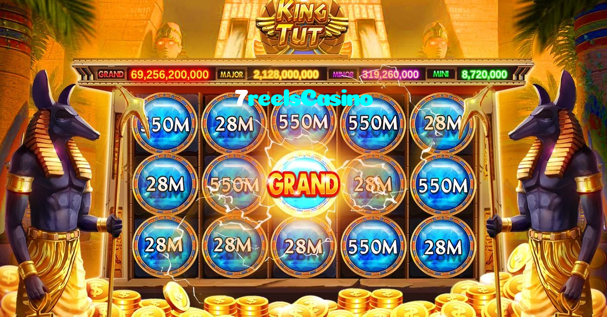 available types of 7reelsCasino bet including pre-match live express and system bets